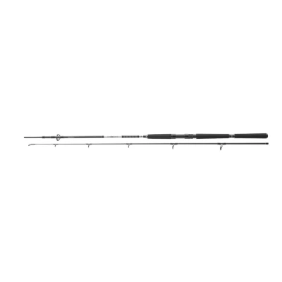 Afbeelding van Daiwa BG Pilk 2,70m 50 165g Boothengel