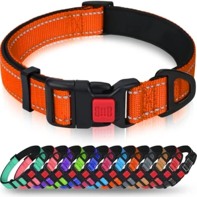 Afbeelding van Taglory Reflecterende nylon hondenhalsband met veiligheidsgesp, verstelbare halsband, zachte neopreen voering, voor kleine honden, oranje