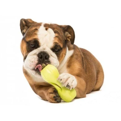 Afbeelding van West Paw Design Hondenspeelgoed Zogoflex Qwizl Granny Smith