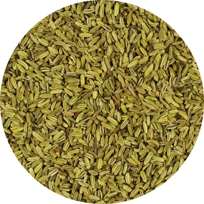 Afbeelding van Van Beekum Specerijen Venkelzaad Heel 15 KG Zak (bulk verpakking)