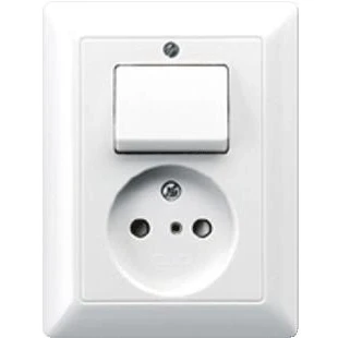 Afbeelding van JUNG AS5546EUWW COMBINATIE WANDCONTACTDOOS ZONDER RANDAARDEWISSELSCHAKELAAR ALPIN WIT