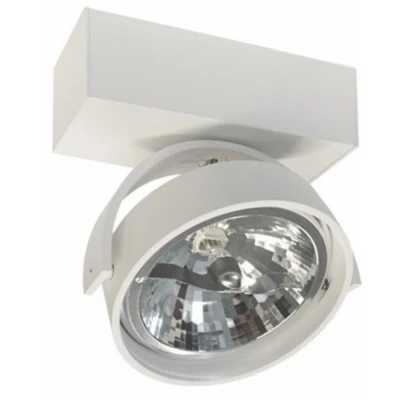 Afbeelding van Artdelight Witte opbouwspot Dutchess QR 0001 WI