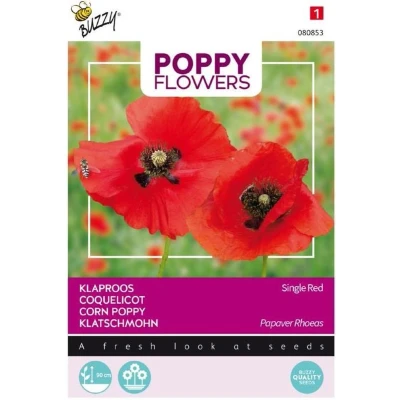 Afbeelding van Poppy Klaproos Rhoeas rood