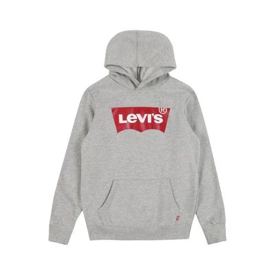 Afbeelding van Levi&#039;s Jongens Hoodie met logoprint in de kleur Grijsmele, maat: 164 = 14 label