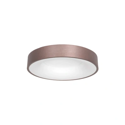 Afbeelding van Steinhauer plafonniere Ringlede brons 3086BR
