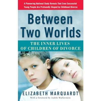 Afbeelding van Between Two Worlds: The Inner Lives of Children Divorce