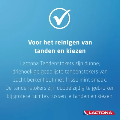 Afbeelding van 3x Lactona Intersticks Tandenstokers 100 stuks