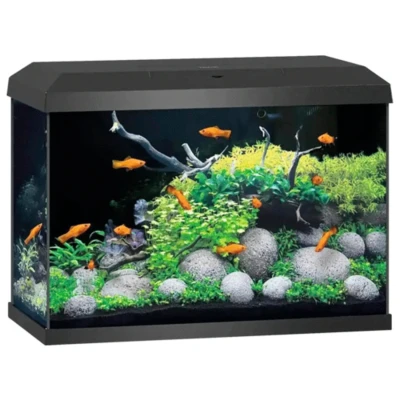 Afbeelding van Juwel Aquarium Primo 70 2.0 62x32x41 cm Aquaria Zwart Ca. L