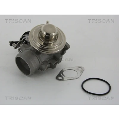 Afbeelding van Triscan EGR klep 8813 29001