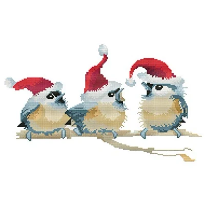 Afbeelding van Abillyn Borduurwerk kruissteek kits drie vogels dragen kerst hoeden gestempeld met bedrukt patroon Starter Kit (vogels)