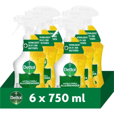 Afbeelding van Dettol Trigger Citrus 750ml 6 Stuks Voordeelverpakking
