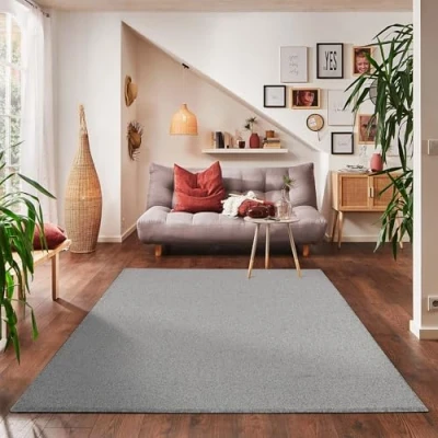 Afbeelding van Effen, kortpolig tapijt voor de woonkamer, super zacht, verkrijgbaar in verschillende kleuren en maten., Kleur: Lichtgrijs, Maat: 280 x 370 cm