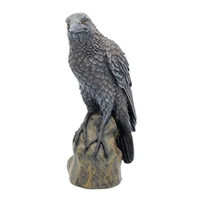 Afbeelding van Nemesis Now Ravens Rest Beeldje 20cm Zwart