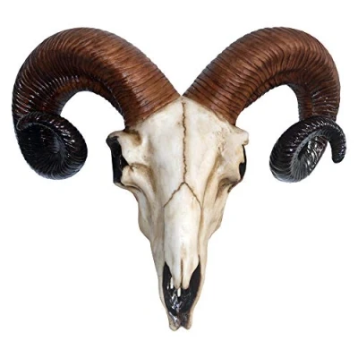 Afbeelding van Nemesis Now Rammen Skull Medium Wall Plaque 32,5 cm Ivoor, Hars, One Size