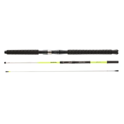 Afbeelding van Daiwa Seal. Xt. Itl Tr 2.13m 30 40l Boothengel
