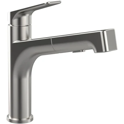 Afbeelding van Villeroy &amp; Boch VB 9282 00 LC, Keukenkraan JUNIS SKY SHOWER, Brushed steel