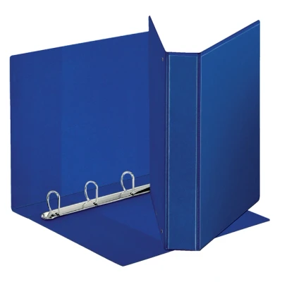 Afbeelding van Presentatieringband Esselte Deluxe A4 4 rings D mech 20mm blauw
