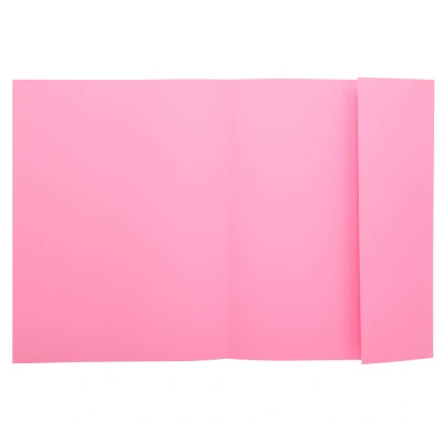 Afbeelding van Dossiermap Exacompta Super 160gr 1 klep roze A4 100 Stuks per 5