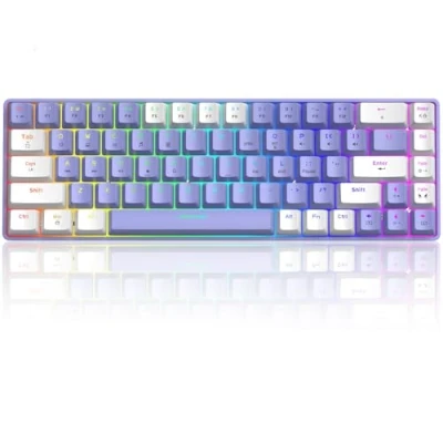 Afbeelding van T8 RGB 60% Mechanisch Toetsenbord, Bedraad Gamingtoetsenbord Compact 65% Layout, 18 LED Backlit QWERTY Mini 68 Toetsen Full Keys Anti ghosting voor PS4, Xbox, PC, Laptop, MAC Purple/Blue Switch