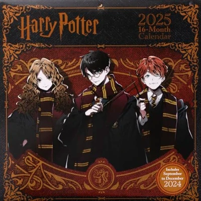 Afbeelding van Calendario 30x30 harry potter 2025 pyramid