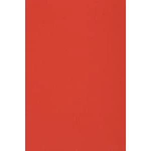 Afbeelding van Netuno 10 karton DIN A3 297x420mm rood 250g Burano Rosso Scarlatto voor kaarten scrapbooking knutselen decoreren uitnodigingen handwerk