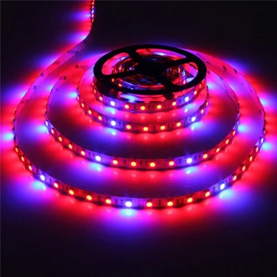 Afbeelding van Grow light led strip Rood/Blauw 4:1 5 meter