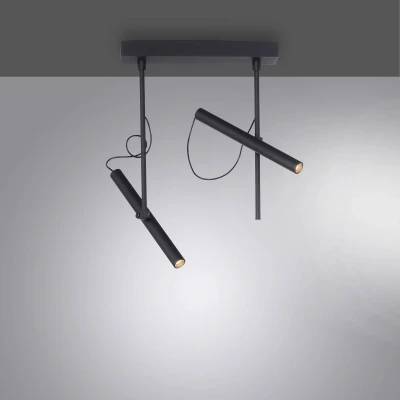 Afbeelding van Paul Neuhaus Design plafonlamp Pure Tutua zwart 6068 18