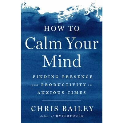 Afbeelding van How to Calm Your Mind: Finding Presence and Productivity in Anxious Times