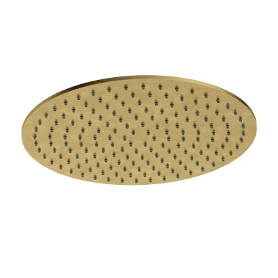 Afbeelding van HotBath Archie Hoofddouche Rond 300 mm Geborsteld Messing PVD AR199BBP