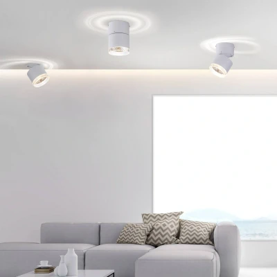 Afbeelding van Paul Neuhaus Witte opbouwspot Pure Nola enkel 6861 16