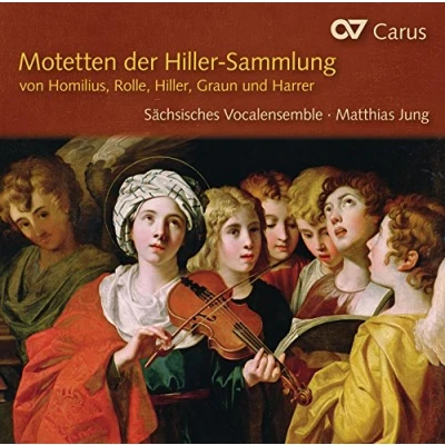 Afbeelding van Sächsisches Vocalensemble &amp; Matthias Jung Motets Of The Hiller Collection (CD)