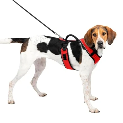 Afbeelding van PetSafe EasySport harnas, wandeltuig voor honden, verstelbaar, gewatteerd, grootrood