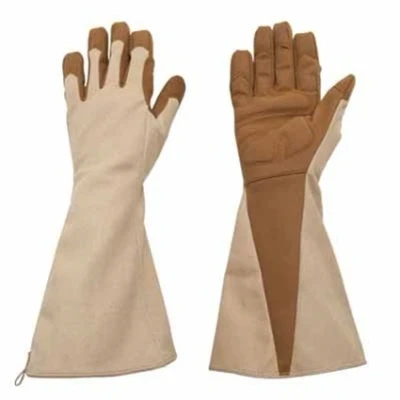 Afbeelding van De Wiltfang Foxgloves Rozenhandschoenen Gauntlet Small (maat 7)