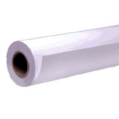 Afbeelding van Epson S041743 fotopapier Halfglanzend Rol 255 gr/m² 1 stuks
