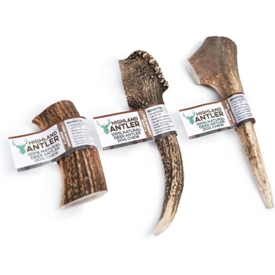Afbeelding van Nova Herten gewei Heel Extra Large &gt; 220 gram!
