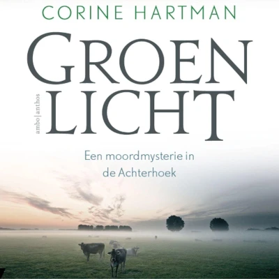 Afbeelding van Groen licht