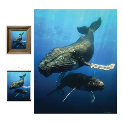 Afbeelding van 3D LiveLife Lenticulaire Kunstafdrukken aan de muur Blauwe Walvis van Deluxebase. Niet ingelijste Oceaan Poster. Origineel kunstwerk onder licentie bekende kunstenaar David Penfound