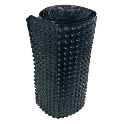 Afbeelding van Noppenbaan 0,5 m x 20 muurbescherming basismuurbescherming noppenfolie drainage