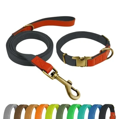 Afbeelding van QRDA Hondenhalsband en riem set, blauw zwart, gepersonaliseerde halsband, verstelbaar, voor honden, kleine middelgrote honden