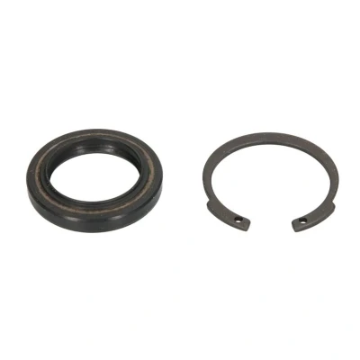 Afbeelding van Febi Bilstein Stuurhuis pakking (Servo) 44527