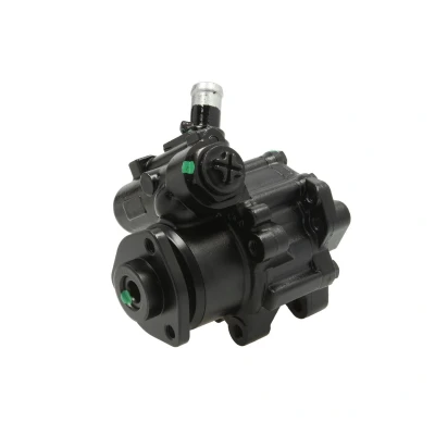 Afbeelding van Lauber Servopomp 55.4278