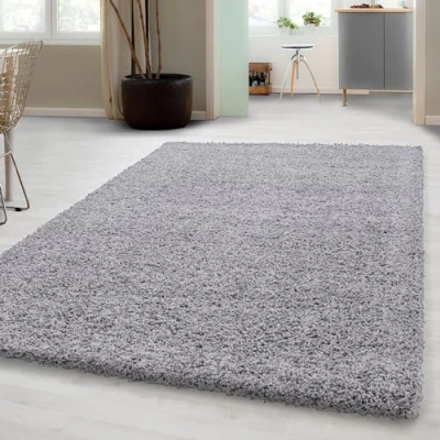 Afbeelding van Carpetsale24 Hoogpolig Vloerkleed Lichtgrijs Effen Tapijt Shaggy Modern Woonkamer Slaapkamer, Kinderkamer Trend Soft Fluffy 60 x 110 cm
