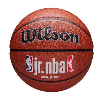 Afbeelding van Wilson Jr NBA Fam Logo Auth In Out Ball, Unisex, Bruin, basketbal, maat: 6