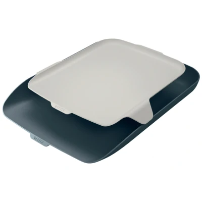 Afbeelding van Brievenbak Leitz Cosy met desk organiser grijs