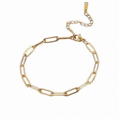 Afbeelding van Aurélia Closed forever Armband Verstelbare Schakelarmband voor Dames 17+5 cm Luxe Minimalistische Goud kleurig