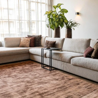 Afbeelding van Vloerkleed Felva Viscose Silk Roest 160 x 230 cm (M)