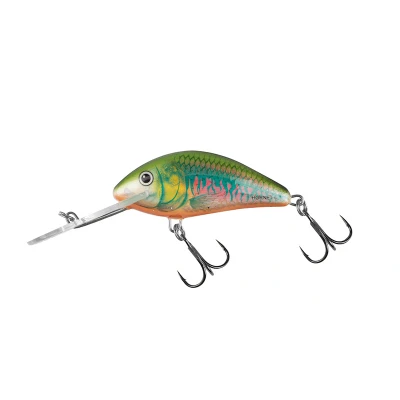 Afbeelding van Salmo Hornet Floating (diepte 2 4.6m) 5cm 7gr Kleur : Holographic Oikawa