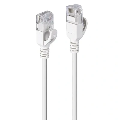 Afbeelding van Lindy 47580, 0,3 m, Cat6a, U/UTP (UTP), RJ 45, Gris