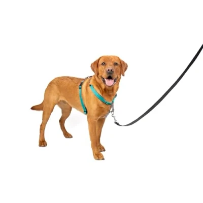Afbeelding van PetSafe 3 in 1 harnas en autobeveiliging, groot, blauwgroen, geen trek, verstelbaar, training voor kleine/middelgrote/grote honden