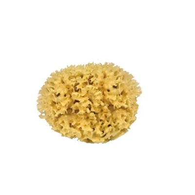 Afbeelding van CROLL &amp; DENECKE M130 natuurspons uit de Middellandse Zee, medium kwaliteit, maat 13 cm